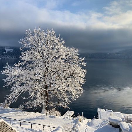 Seehaus Weiss Rothenthurn Esterno foto